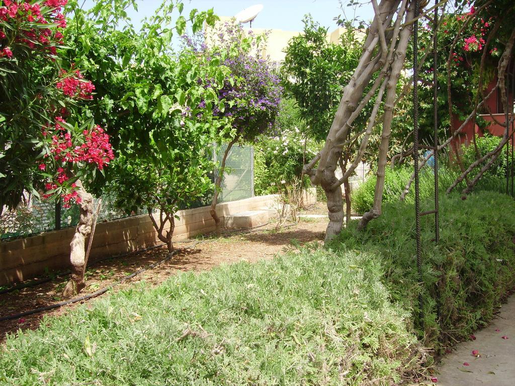 Kissonerga Appartement *
